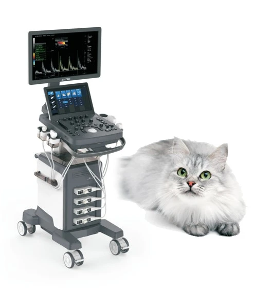 Color Doppler Veterinary Ultrasound