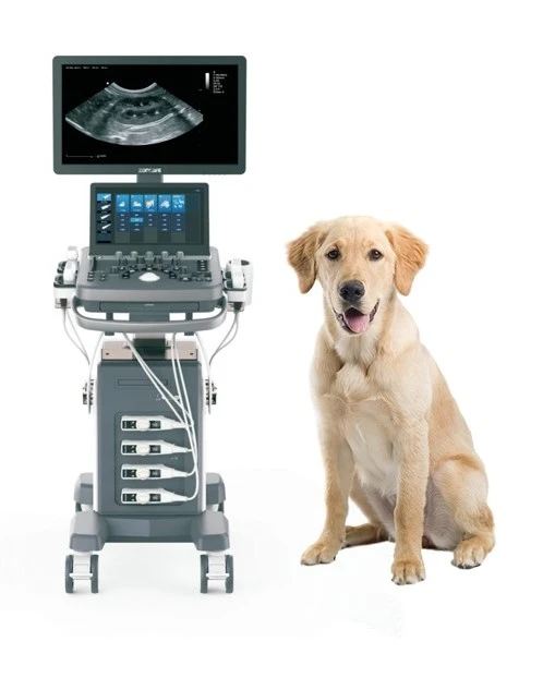 Hệ thống siêu âm Doppler màu thú y