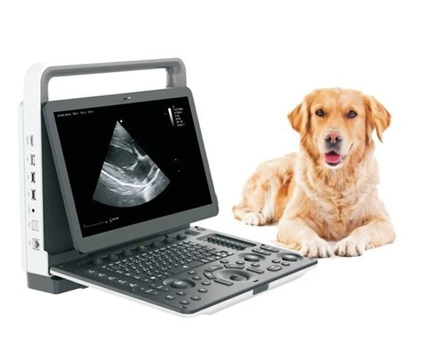 Hệ thống siêu âm Doppler màu cầm tay thú y